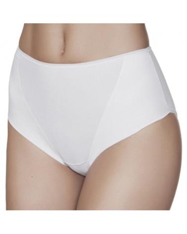 SLIP PERFECT-DAY BRAGA SRA MICRO JANIRA COLOR: blanco, negro, nilo, dune, cosmetic; TALLAS: m, l, xl Temporada: