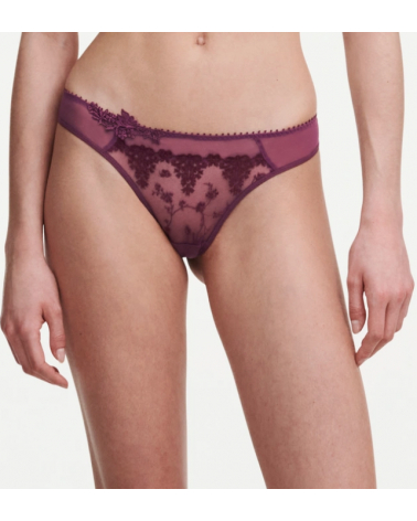 TANGA MUJER PASSIONATA FIRST NIGHTS 4067 COLOR: gris, kaki, omx, 05m, 073, 0db, ocq; TALLAS: xs, s Temporada: invierno