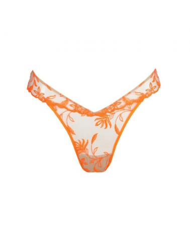 TANGA SARDA SHAY 3500860