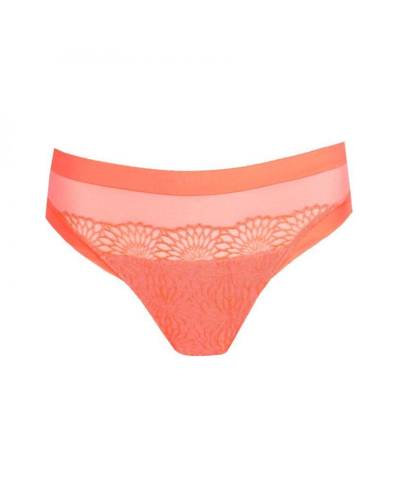 BRAGA BIKINI PRIMADONNA SOPHORA 0563180 TALLAS: 38, 40, 42, 44, 46, 48  - Todas las braguitas mujer online  - PEPI
