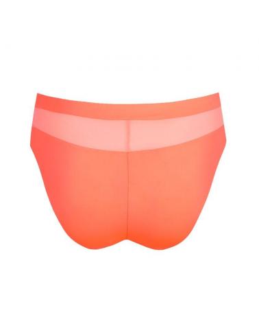 BRAGA BIKINI PRIMADONNA SOPHORA 0563180 TALLAS: 38, 40, 42, 44, 46, 48  - Todas las braguitas mujer online  - PEPI