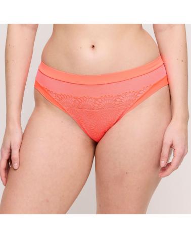 BRAGA BIKINI PRIMADONNA SOPHORA 0563180 TALLAS: 38, 40, 42, 44, 46, 48  - Todas las braguitas mujer online  - PEPI