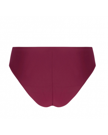 BRAGUITA BIKINI BRASILEÑA ANTIGEL EBB0014 LA CHIQUISSIMA TALLAS: s, m, l, xl; COLOR: negro, mer rouge, azalea, prune